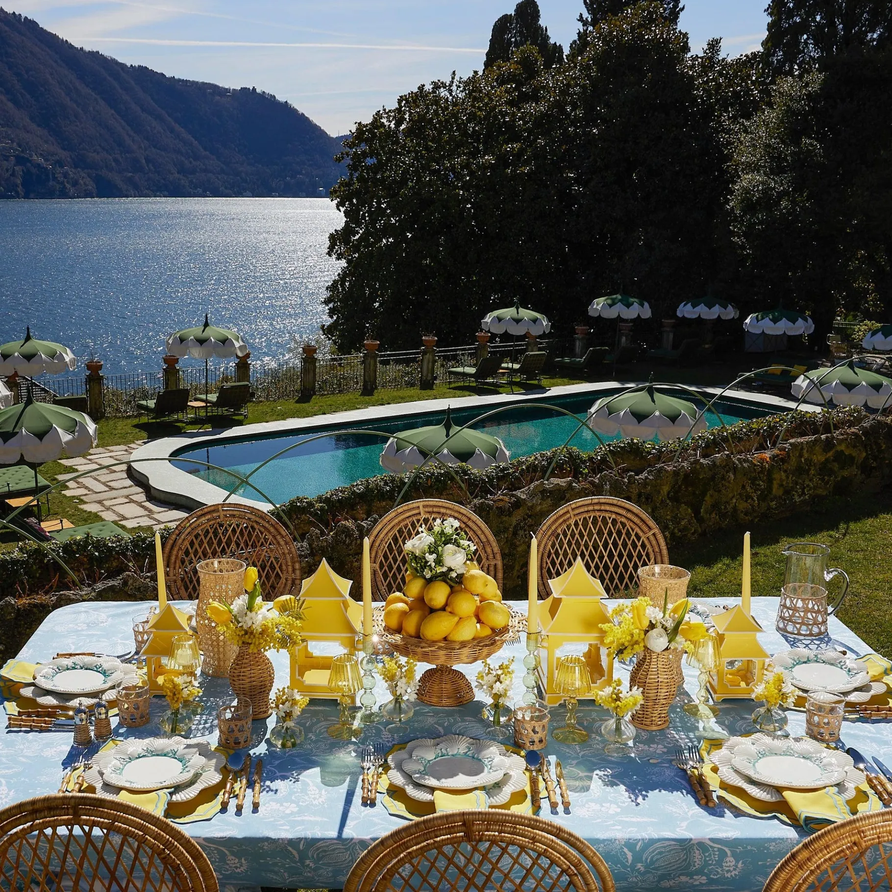 Mrs. Alice Crockery Sets|Blue Coral Dinner & Starter Plates (Set Of 8)