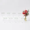 Mrs. Alice Glasses|Olive Rim Swirl Glassware Set