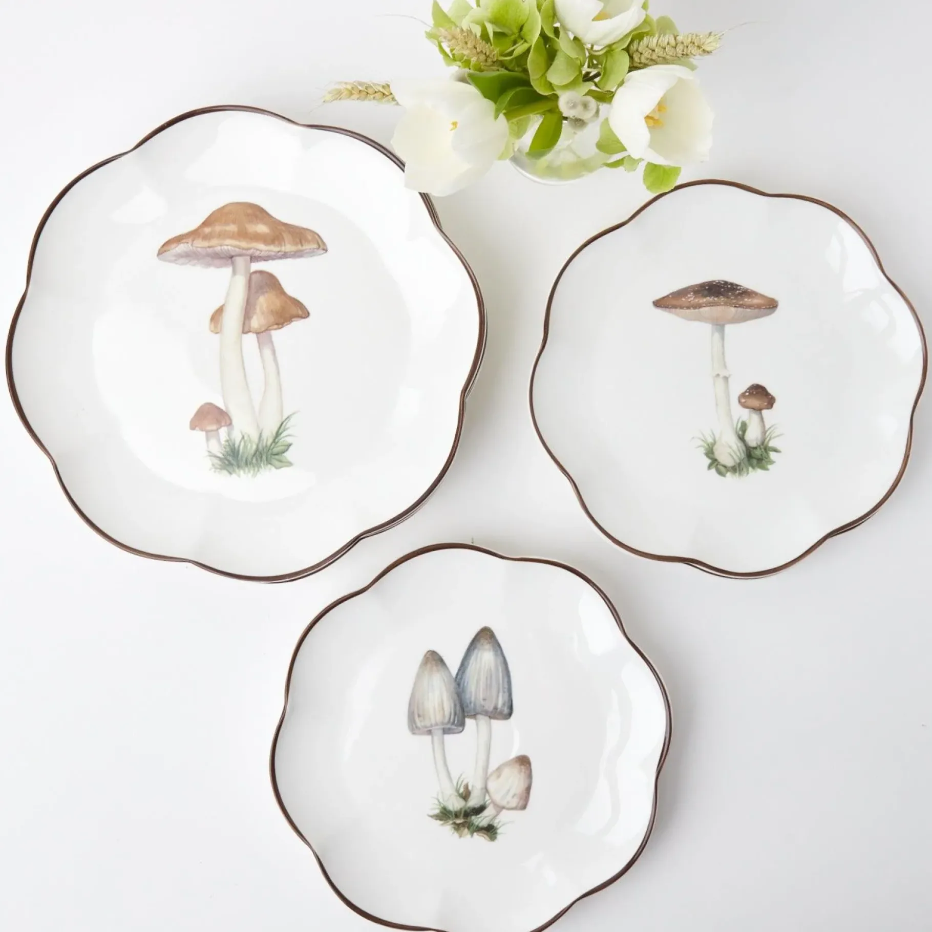 Mrs. Alice Crockery Sets|Scalloped Mushroom Dinner Plate (Set Of 4)