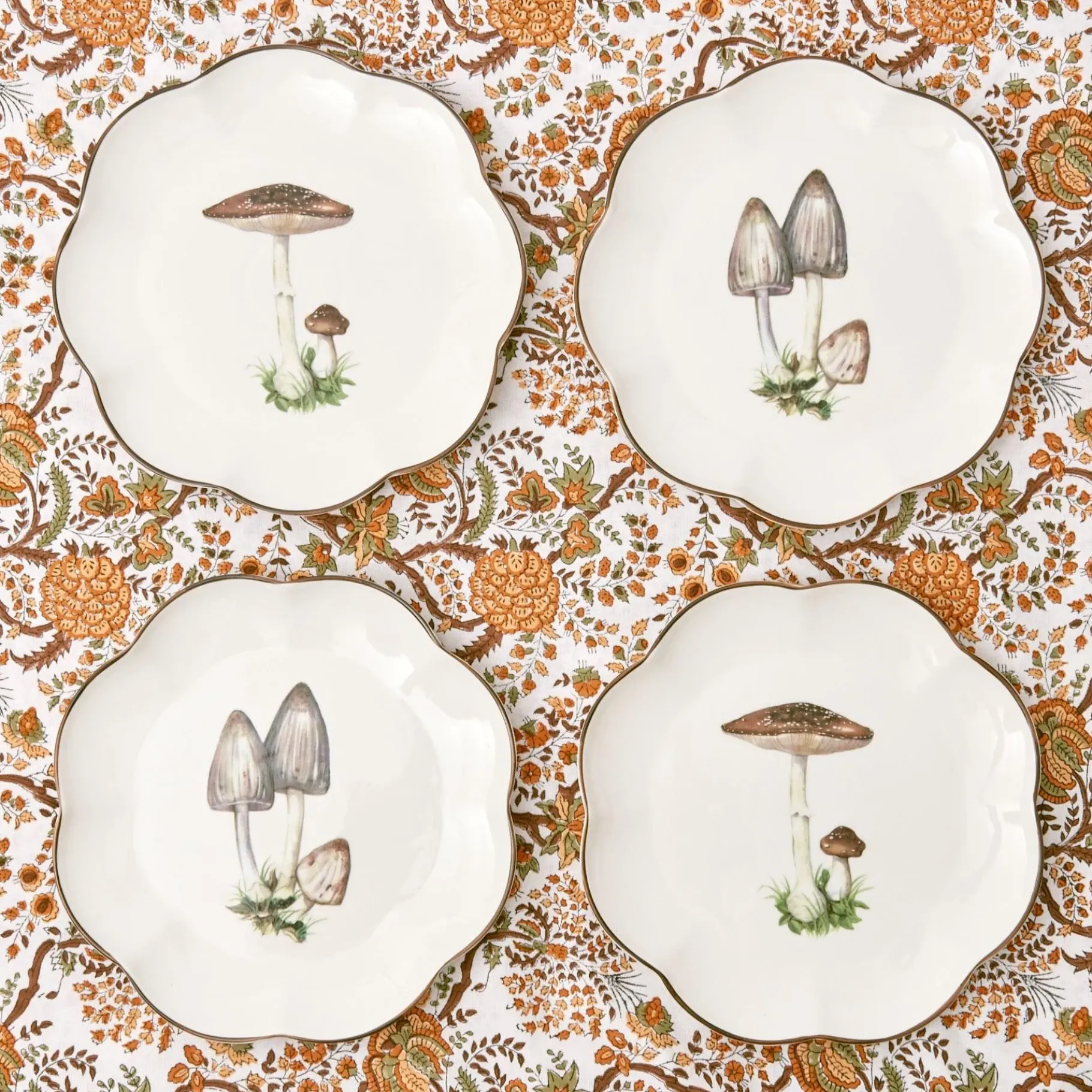 Mrs. Alice Starter Plates|Scalloped Mushroom Starter Plates (Set Of 4)